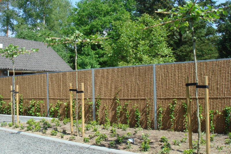 QZH Clôtures Écran De Clôture De Jardin Bordure De Plante