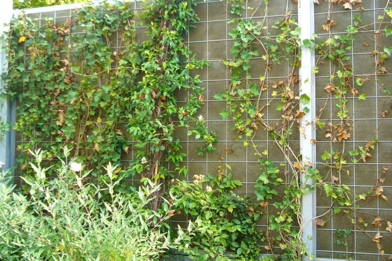 Ecran anti-bruit noise-reducer – CNVA – Lausanne