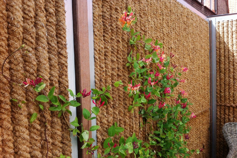 Ecran jardin kokowall – CNVA – Castelmaurou